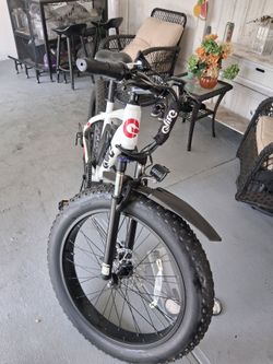 E-bike fully loaded. w. NEW Charger.