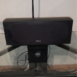 Pioneer Center Speaker
