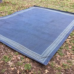 Blue Rug.    94x116”.         South Austin.     $25 Firm.    