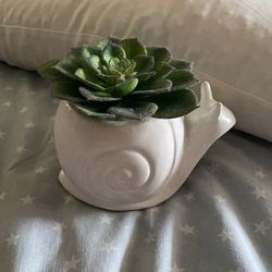 Snail Pot With Plant In It