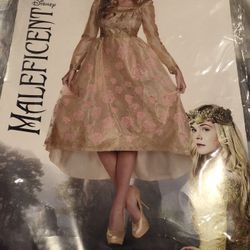 Adult Aurora costume