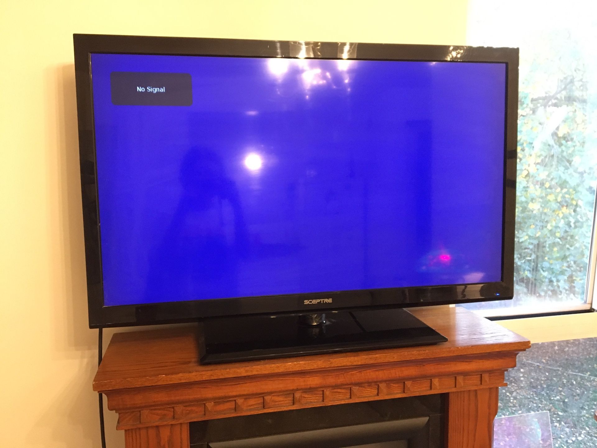 TV 42” Flat Screen