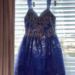 Royal Blue Dress