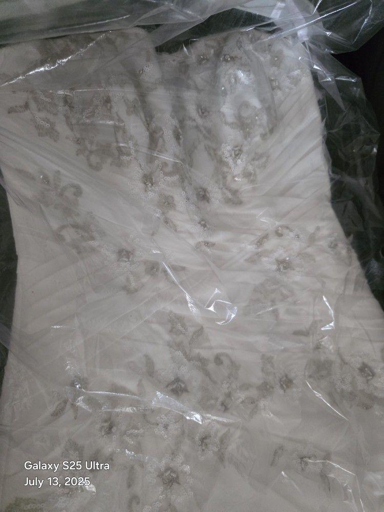 Beautiful Wedding Dress W/ Veil