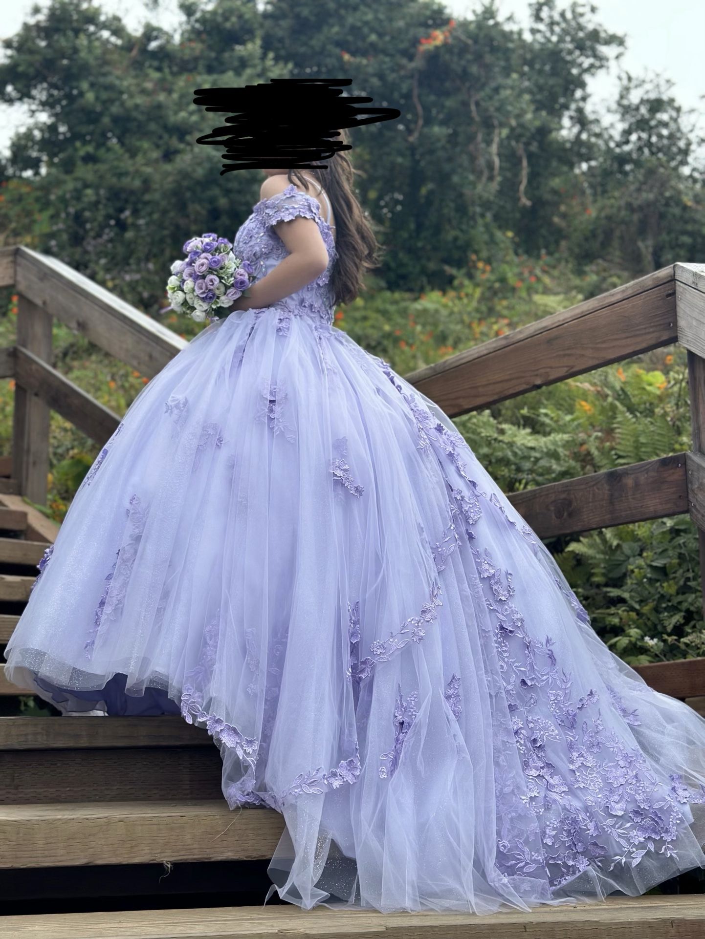 Quinceañera / Sweet 16 Dress
