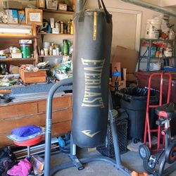 Everlast 100 lbs Heavy bag and Stand