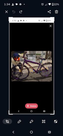 29" SE Purple Rain Big Ripper Fully Custom Build