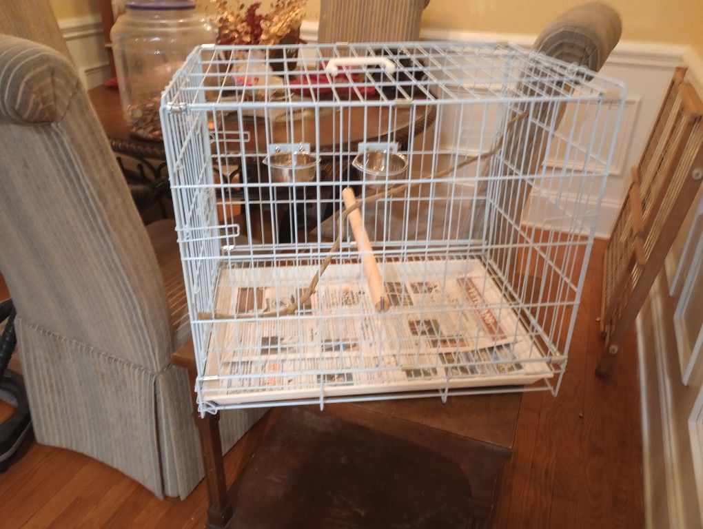 Bird Cage