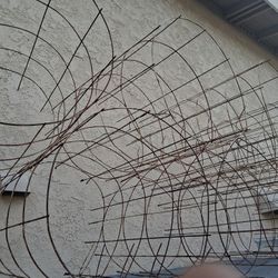 Garden Cages 🍅 🫛 🫘  Tomatoes, Beans, Etc.