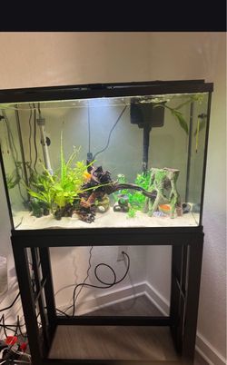 Brand new aquarium 30 gallon tall