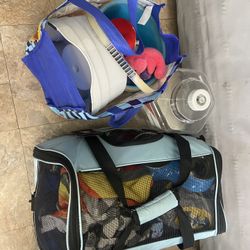 Bundle Of Dog Things