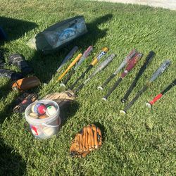 Baseball Bats 