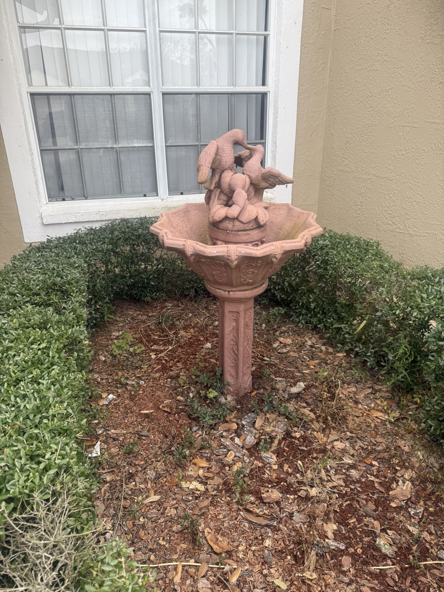Fountain