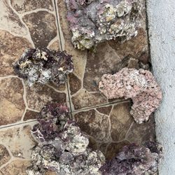 Caribsea Shape Rocks