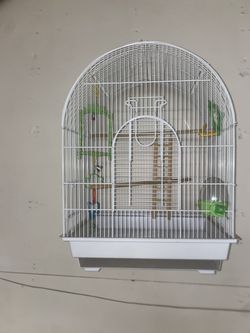 Bird Cage