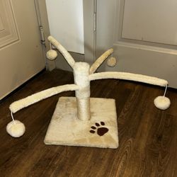 Cute Novelty Cat Scratcher 