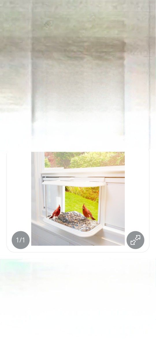 Bird Feeder