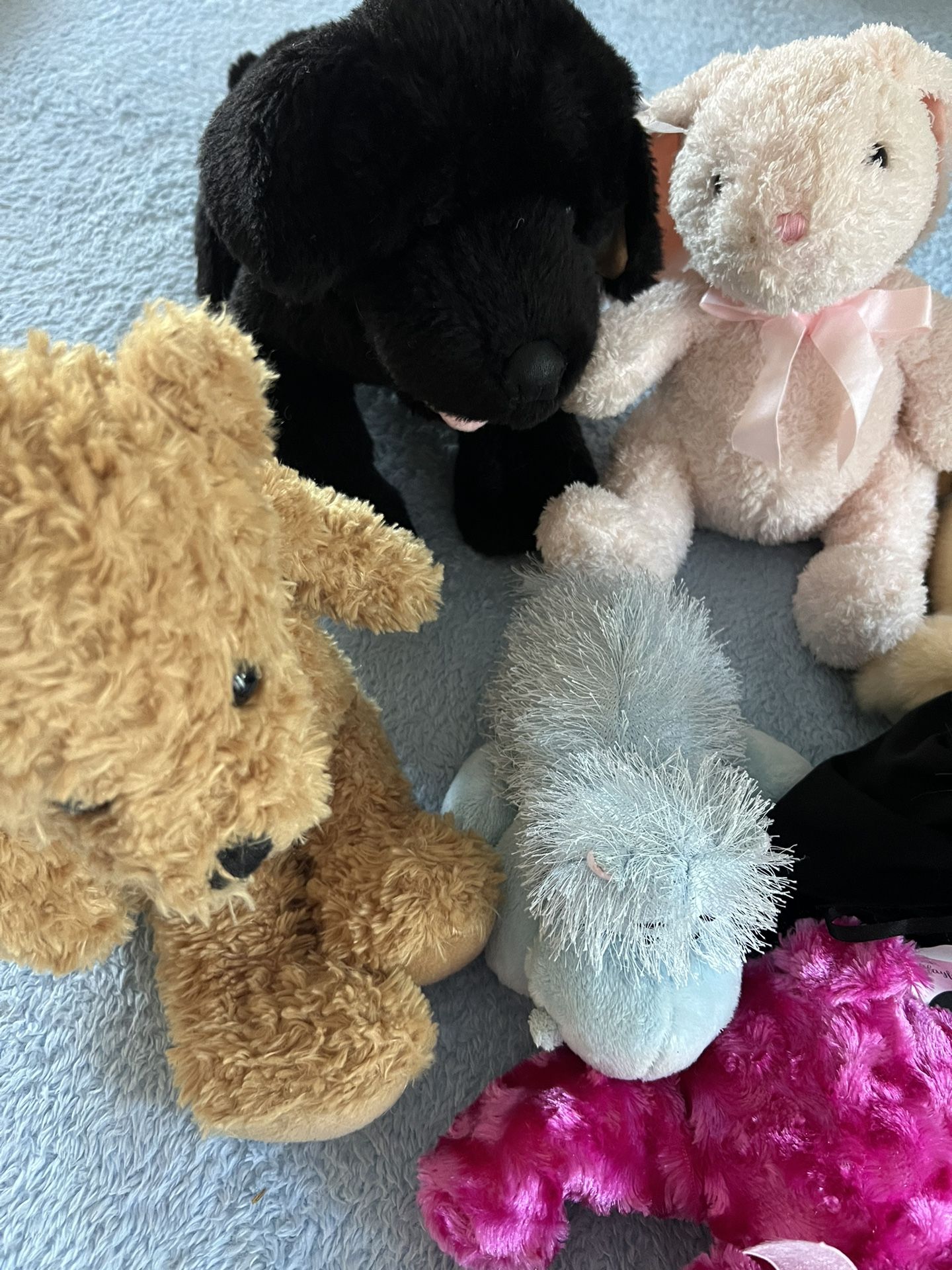 Stuffed Animals