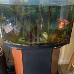 55 Gallons Fish Tank With Stand