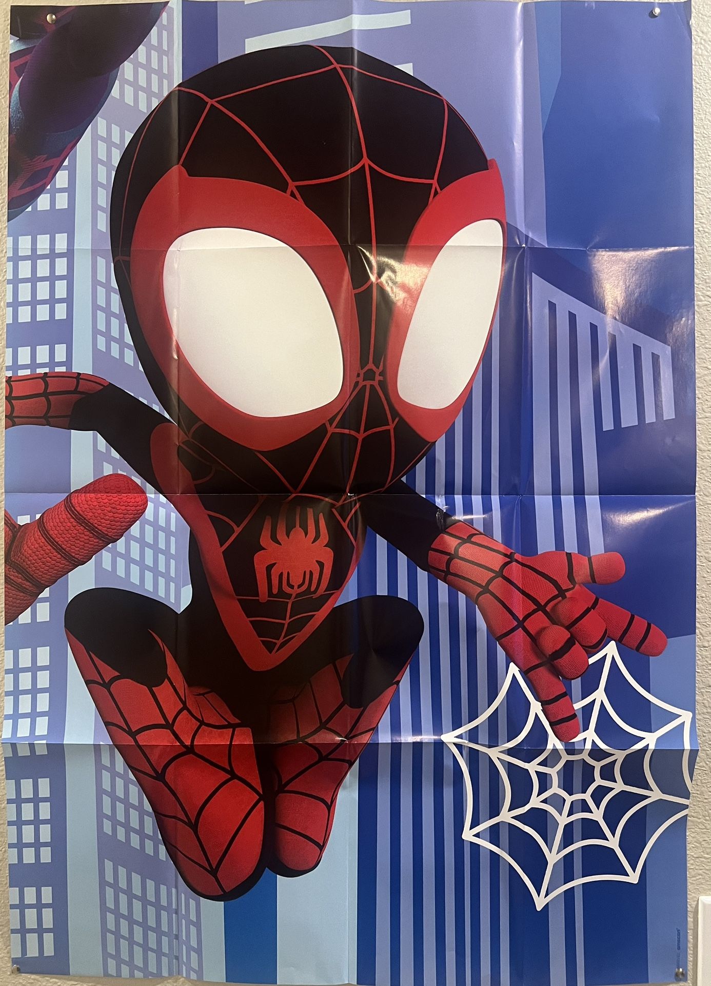 Spider-Man Theme Birthday 🎂 Party 🎉