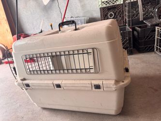 Pet Travel Carrier