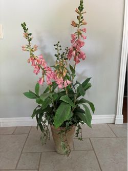 Pretty foxglove (digitalis) arrangement