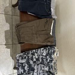 Men’s Levi’s Cargo Shorts/shorts