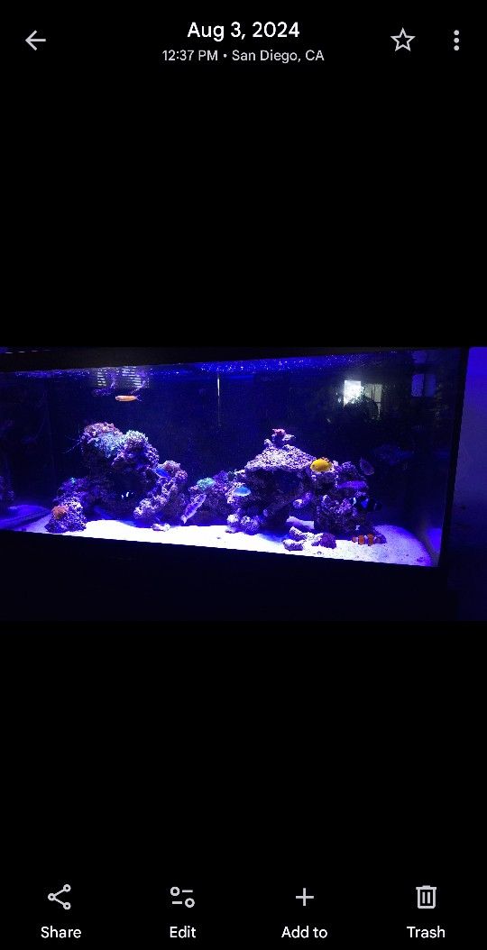 LIVE ROCK FOR A REEF TANK