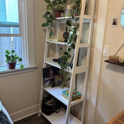5 Tier Ladder Shelf 