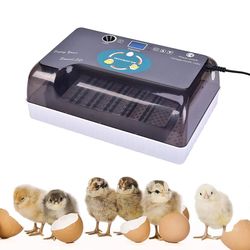 Egg Incubator 12 Eggs Digital Incubators for Hatching Eggs with Fully Automatic Turner and Humidity Control LED Candler, Mini Egg Incubator Breeder fo