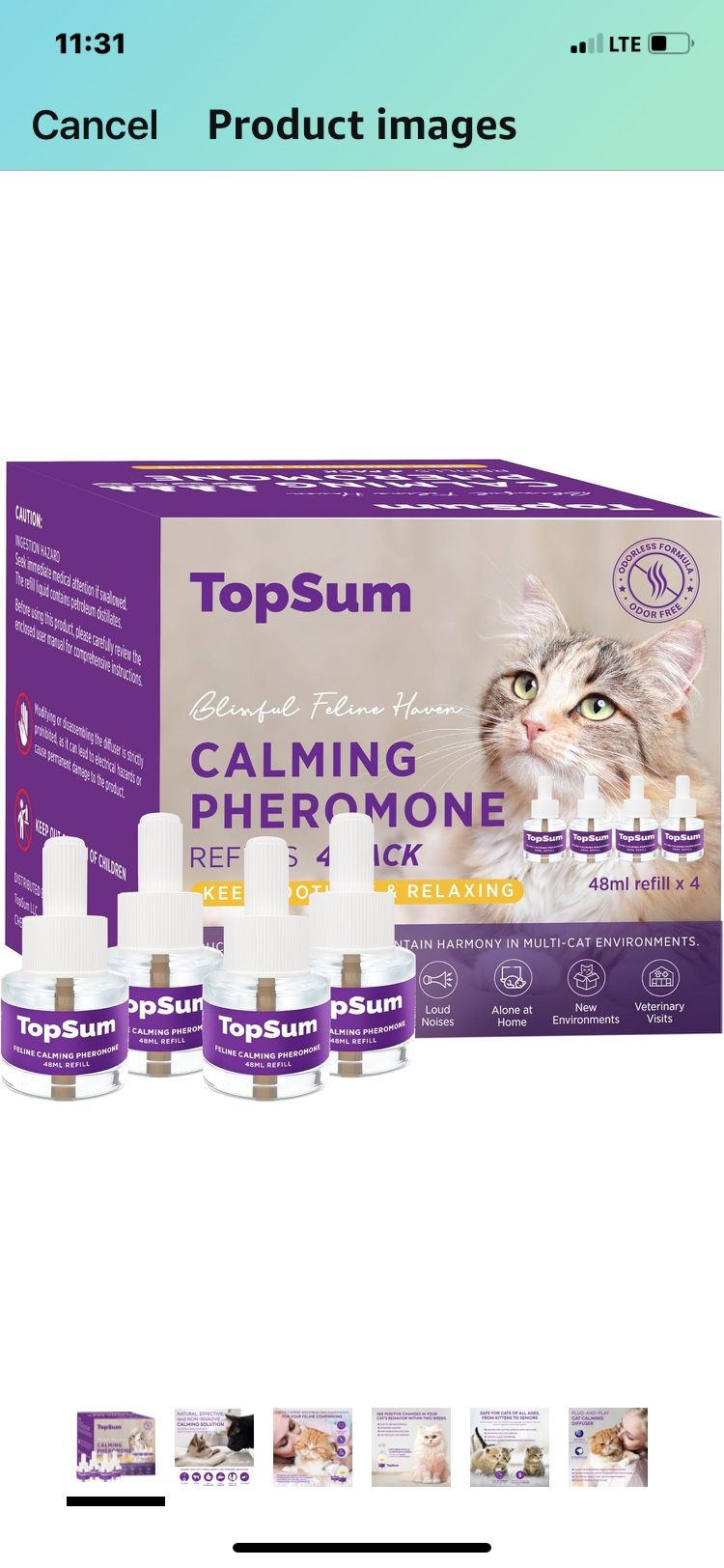 For cat cat
