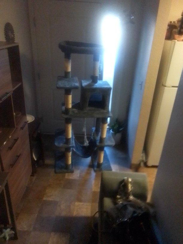 Cat Tree