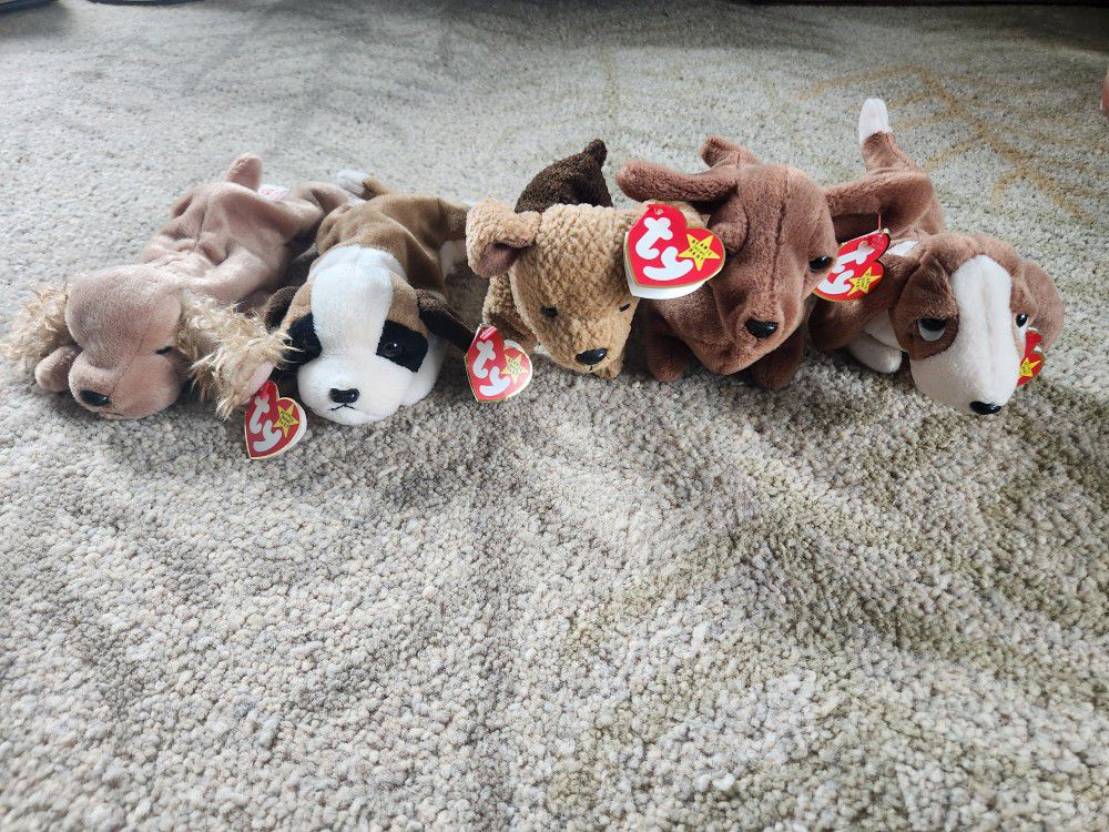 Beanie Babies - Lot of 5 Dogs