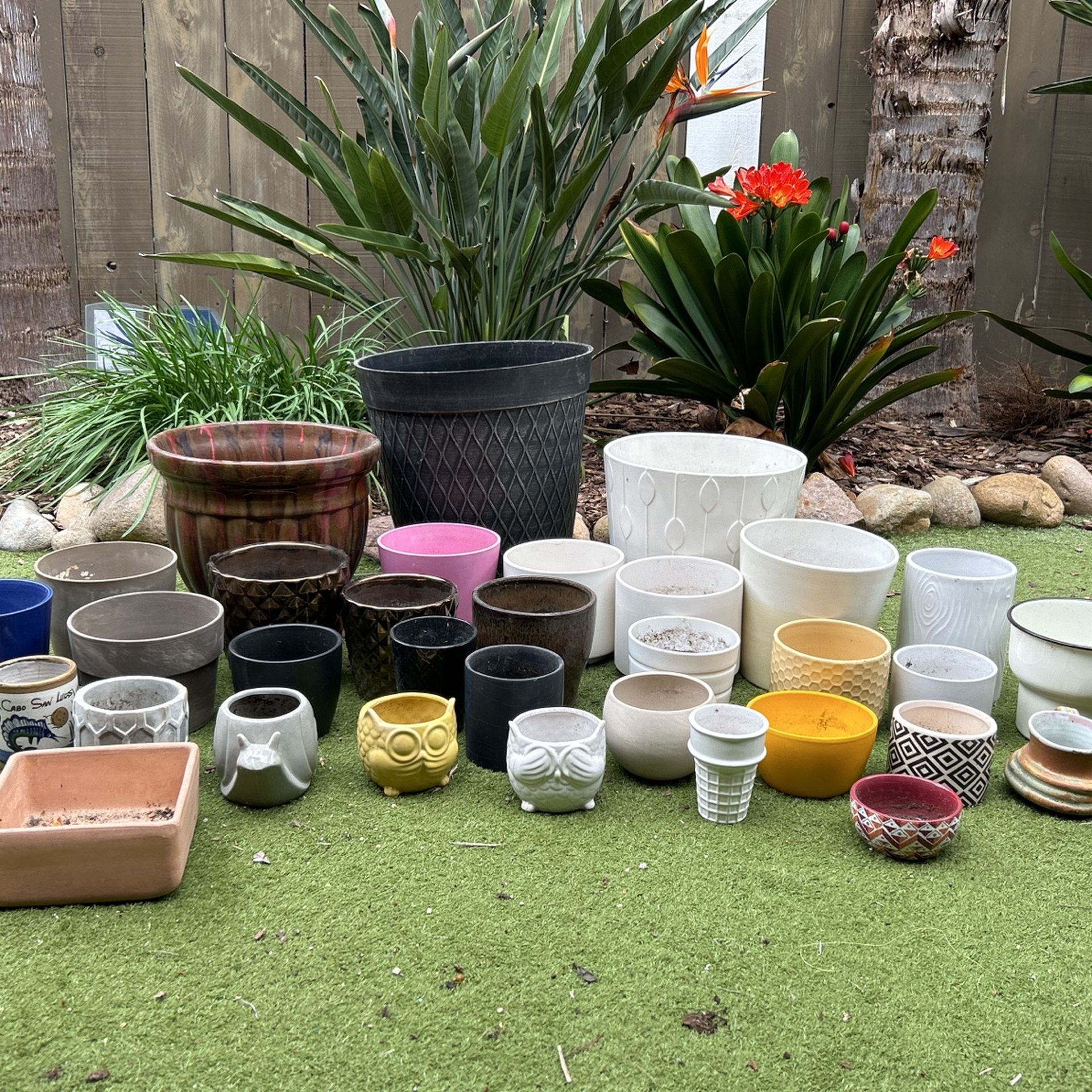 Plant Pots for Sale in San Diego, CA OfferUp