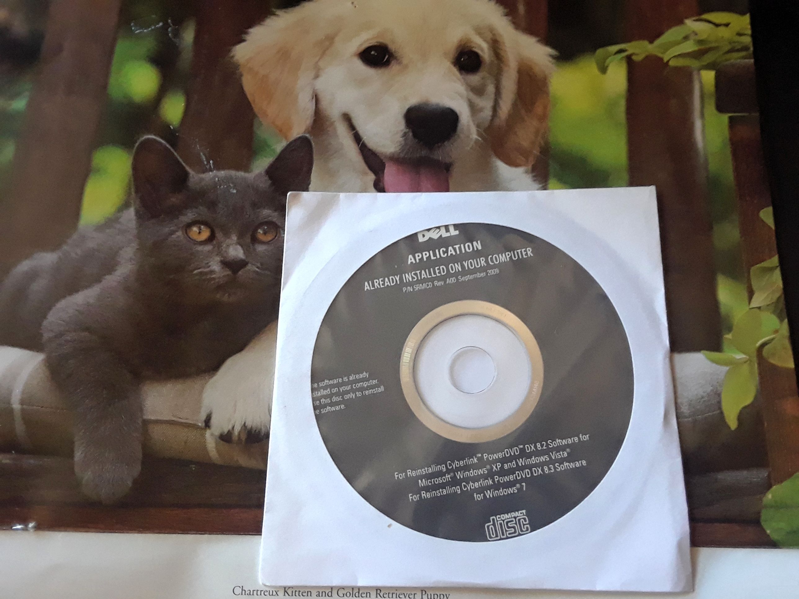 Is only For Dell to reinstall software, Cyberlink PowerDVD DX 8.2 software