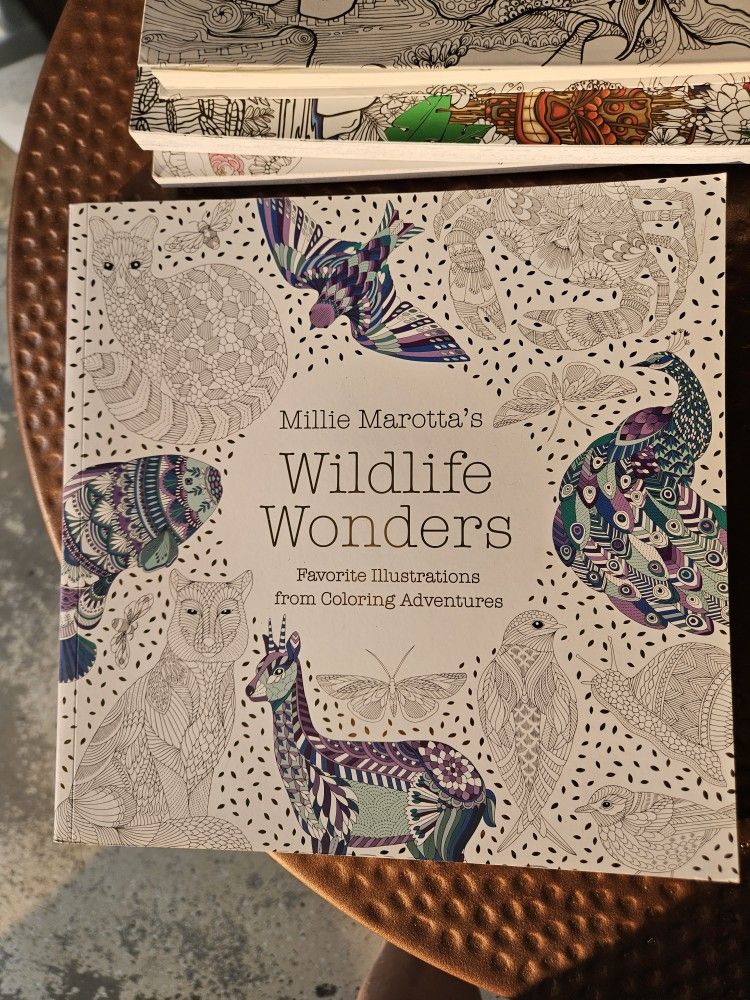 Adult New Coloring Books, Each