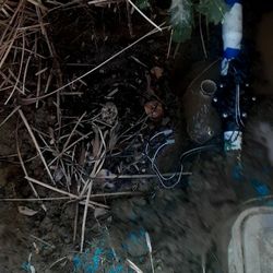 Sprinklers & Timer I Can Help. You.......