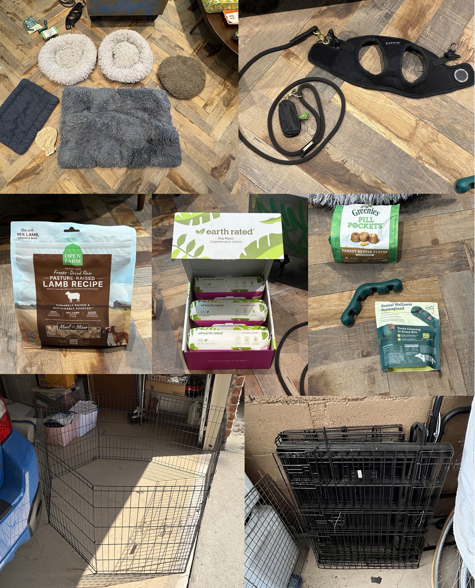 Huge lot of dog accessories & goodies