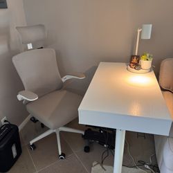 Complete Home Office Set – Standing Desk, Chair, Stepper & Shredder