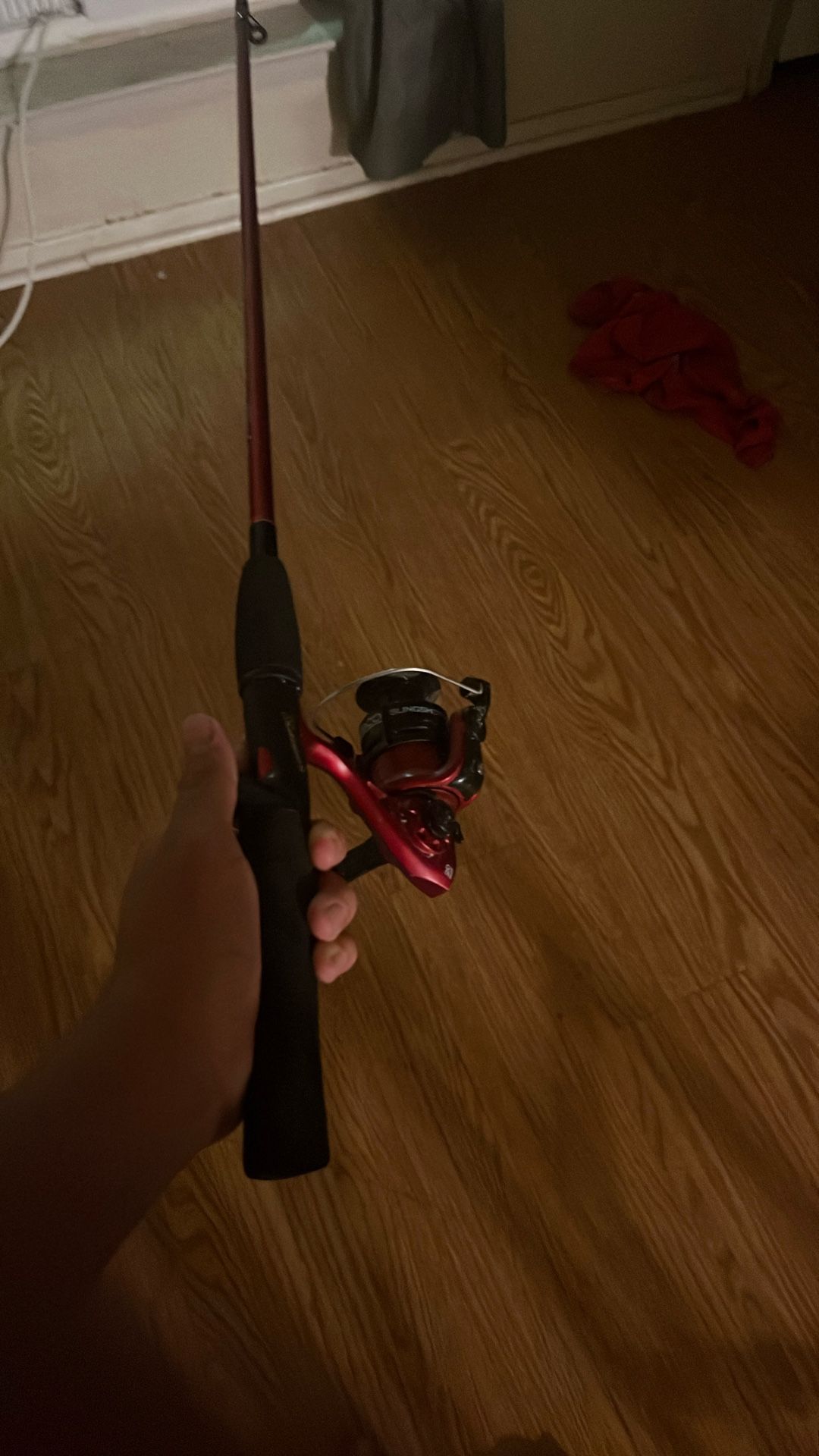 Rod And Reel Spinning Reel