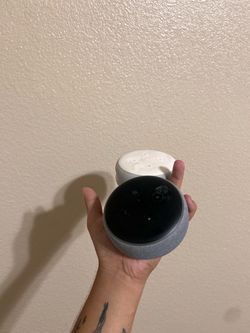 Alexa echo dot