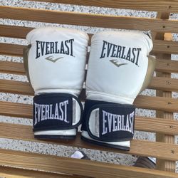 Everlast Boxing Gloves