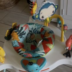 Baby Bouncer