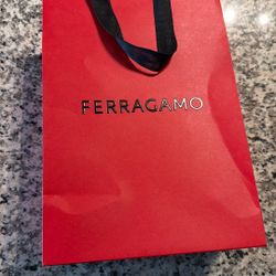 Ferragamo Store bag