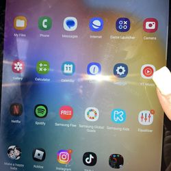 Samsung G Tab S6 Lite With Pin 