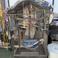 Bird Cage