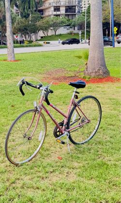 Vintage Raleigh Bicycle
