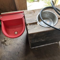 Auto water feeder