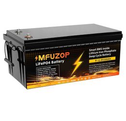 12V 300Ah LiFePO4 Battery, 200A BMS 3840Wh Lithium Iron Phosphate Battery 15000+ Cycles, Low-Temp Protection Ideal for Solar Off-Grid Power System, Ho