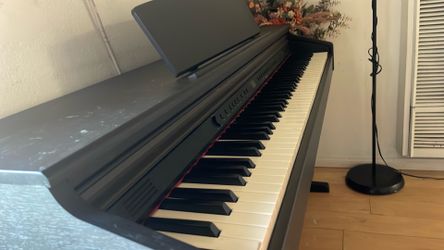 Digital artesia dp-3 piano